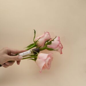 Rose Silk