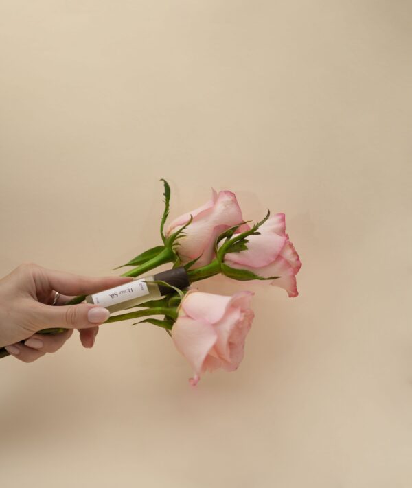 Rose Silk